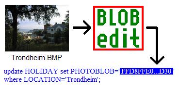 Prinzipskizze BLOBedit